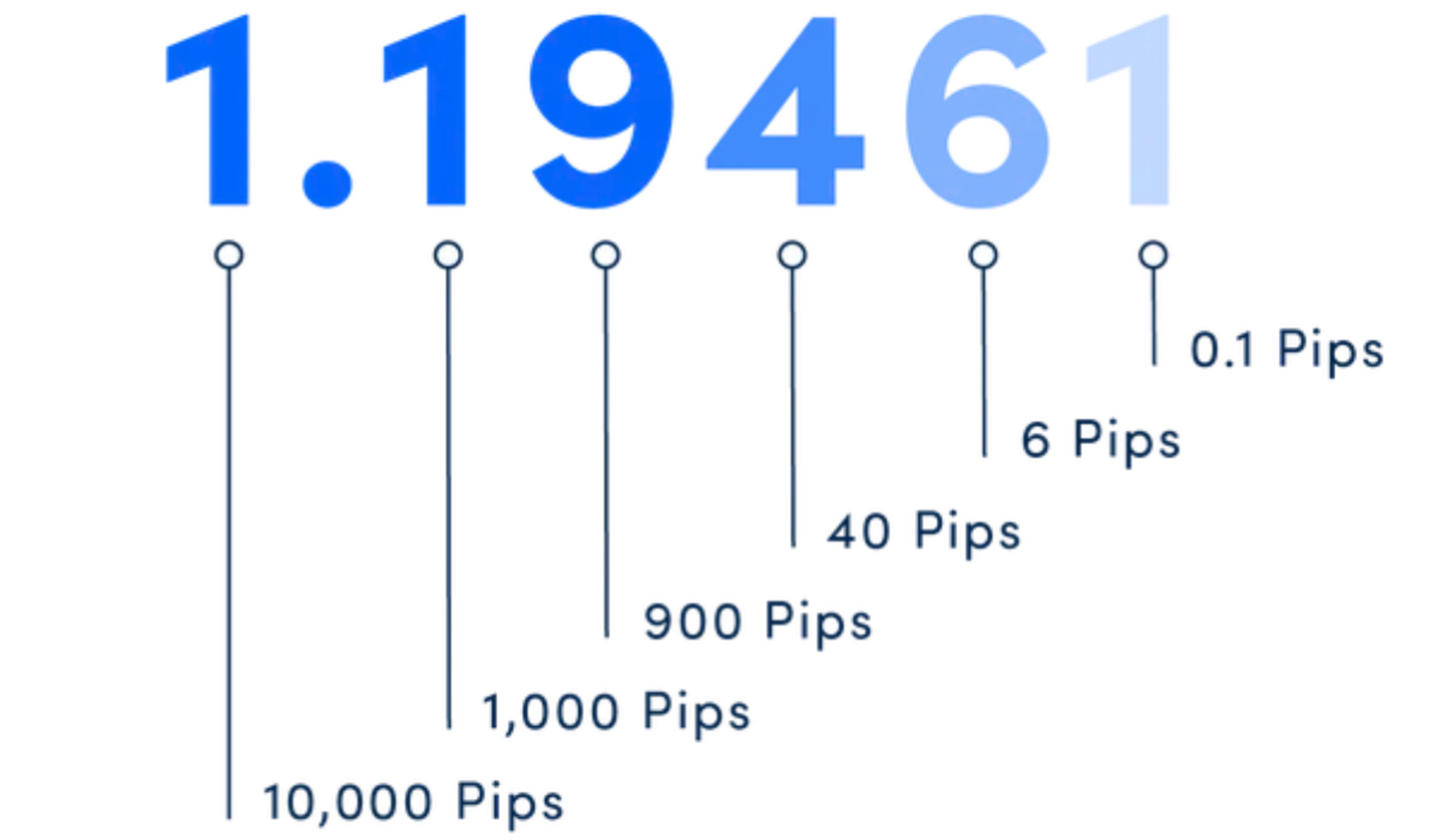 What is a Forex Pip?